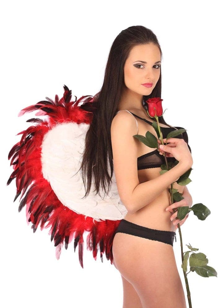 Cupid theme from the 2026 sailing